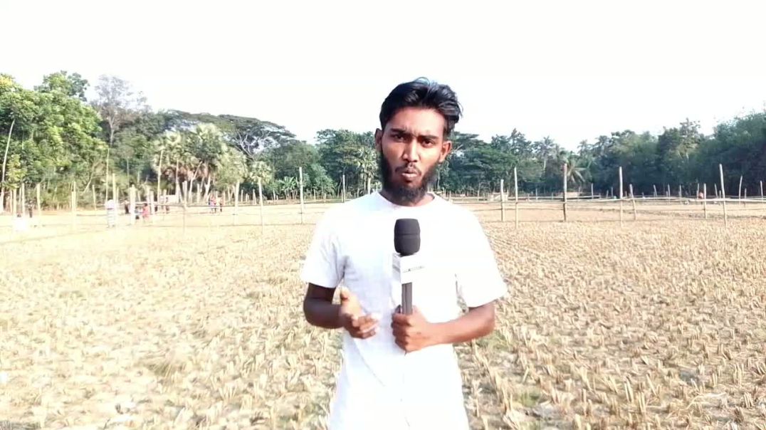 ⁣যশোর অভয়নগর উপজেলার ৪নং পায়রা ইউনিয়নে আগামীকাল জমজমাট ষাড়ের লড়াইয়ের প্রস্তুতি সম্পন্ন