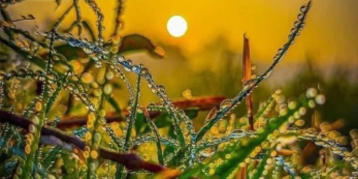 ব্যস্ত ন হারিয়ে যাওয়া সকালের মিষ্টি রোদ