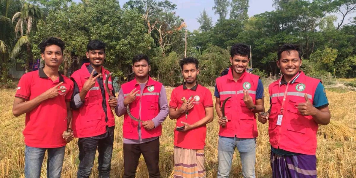 অসহায় কৃষাণী খাদিজার ৪ বিঘা ধান কেটে দিল যুব রেডক্রিসেন্ট—মানবতার এমন দৃষ্টান্তে আবেগে ভাসছে মনপুরা..