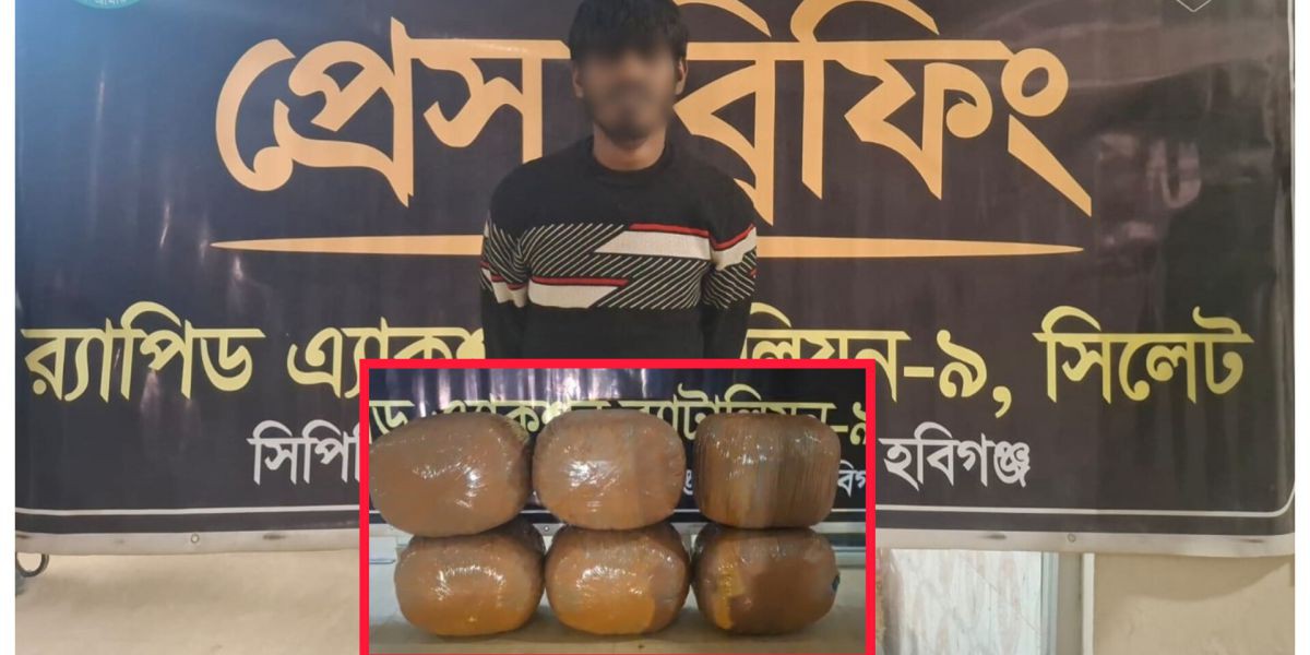মাধবপুরে বিপুল পরিমাণ গাঁজাসহ মাদক ব্যবসায়ী গ্রেফতার