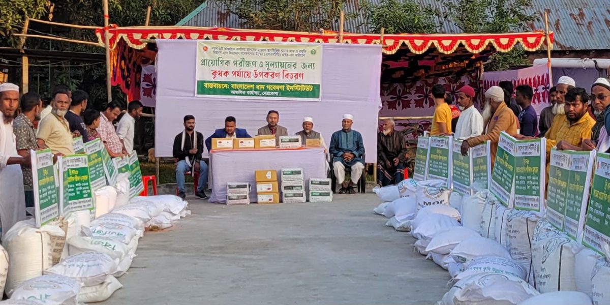 এলএসটিডি প্রকল্পে নেত্রকোনায় কৃষক পর্যায়ে ধান চাষের উপকরণ বিতরণ..
