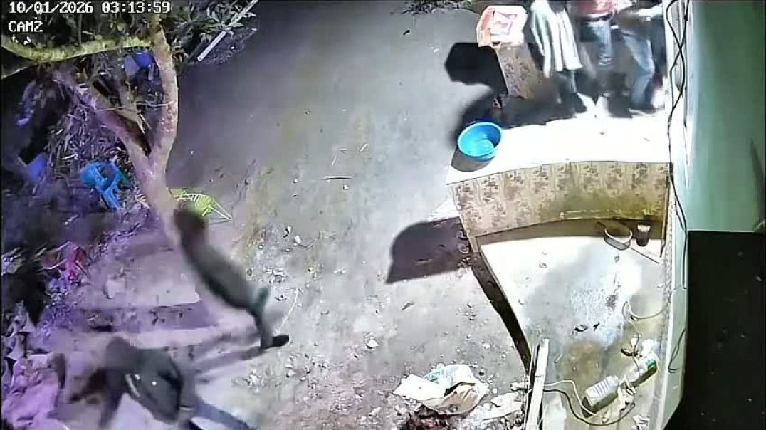 ⁣পেয়ারপুরে গভীর রাতে ডাকাতির চেষ্টা, অল্পের জন্য রক্ষা পেল একটি পরিবার