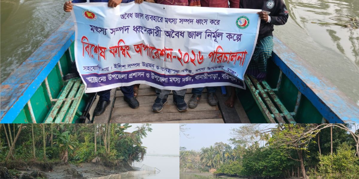 বানারীপাড়ার দেশীয় মাছ বিলুপ্তির পথে: সংকটে প্রাকৃতিক মৎস্য ভাণ্ডার....