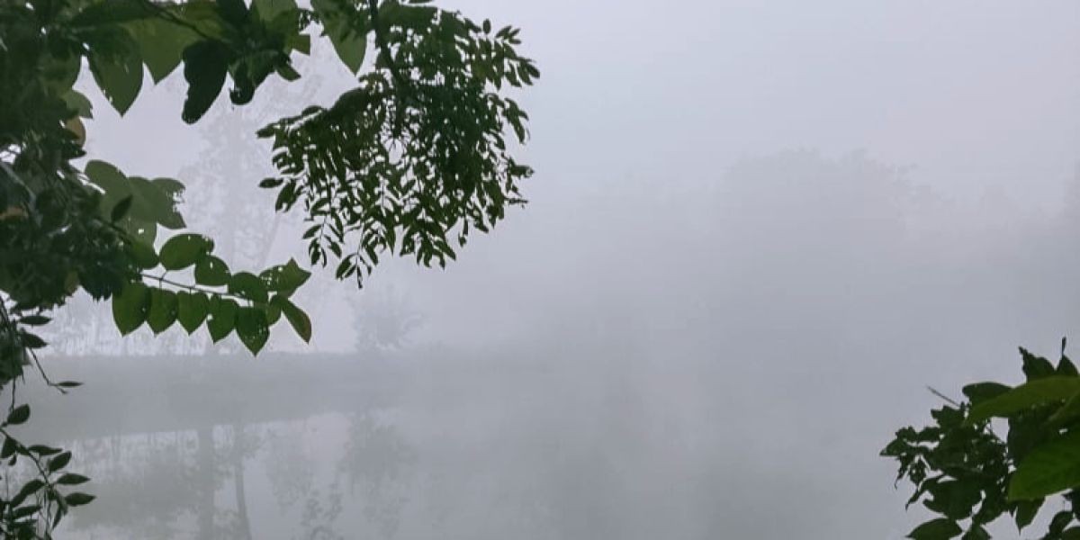 চিরিরবন্দরে হিমেল হাওয়া,কনকনে ঠান্ডা ও কুয়াশায় বিপর্যস্ত জনজীবন।..