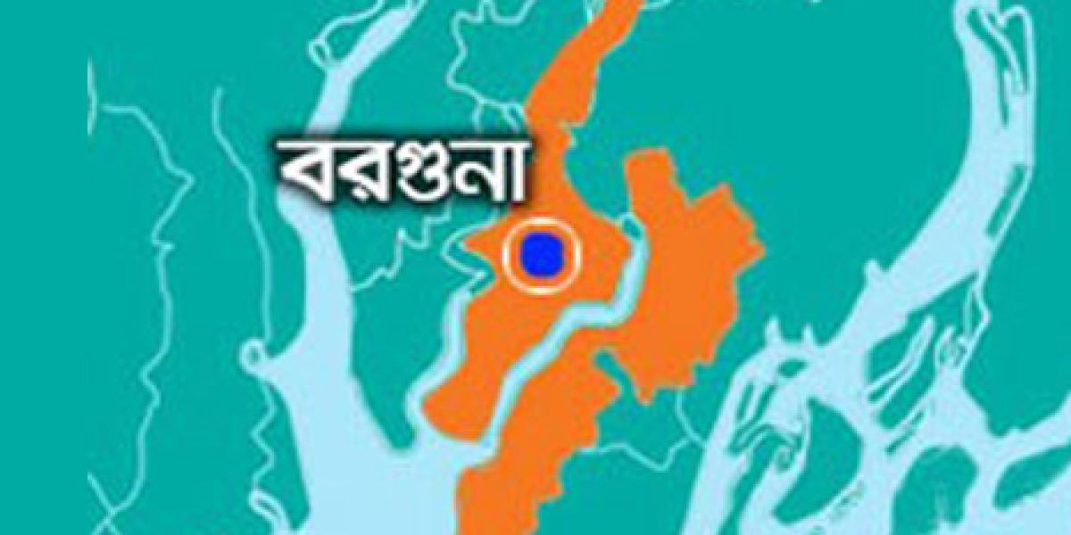 বরগুনার পাথরঘাটায় অন্তঃসত্ত্বা গৃহবধূকে ধর্ষণে ব্যর্থ হয়ে তলপেটে লাথিতে গর্ভপাত, থানায় মামলা নেওয়ার নির্দেশ ..