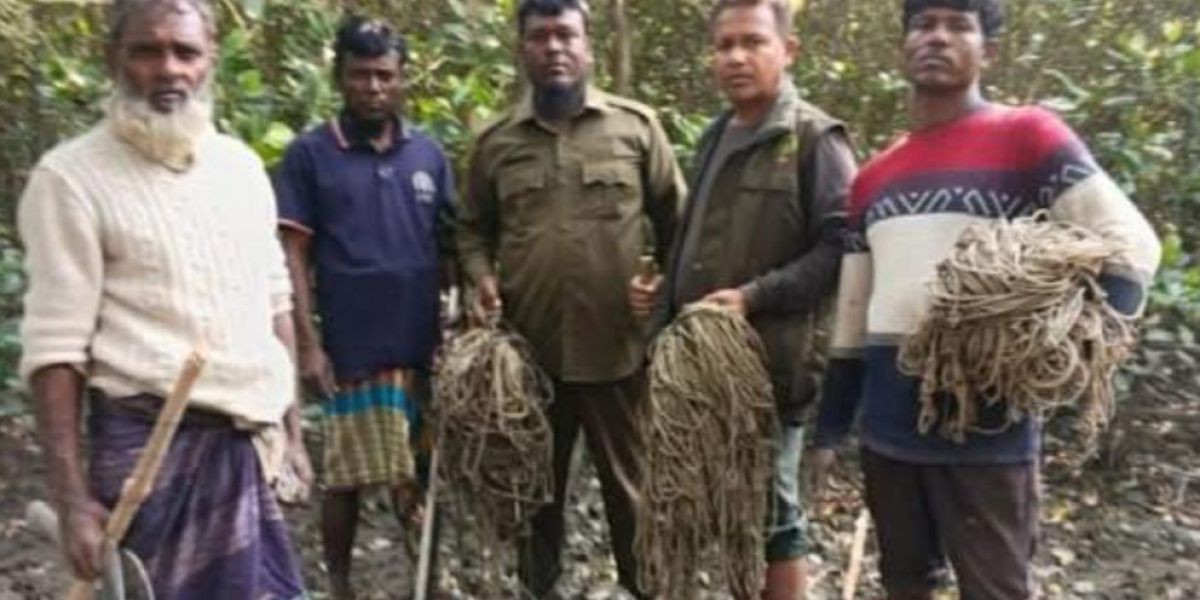 পশ্চিম সুন্দরবনে হরিণ শিকারের কাজে ব্যবহ্নত মালা ফাঁদ উদ্ধার..