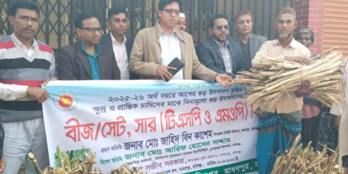 হবিগঞ্জের মাধবপুরে ৩০ কৃষকের মাঝে আখ চাষের প্রণোদনা বিতরণ..