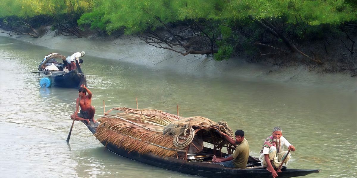 হানিফ ও খায়রুলকে নিয়ে গেছে বনদস্যু জাহাঙ্গীর বাহিনী