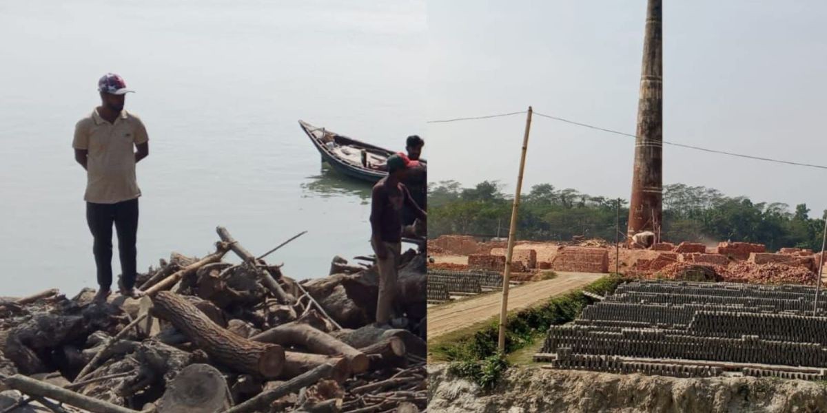 কাঠালিয়াতে পরিবেশ আইন তোয়াক্কা না করেই কাঠ পুড়ছে KBF ইটভাটায়..
