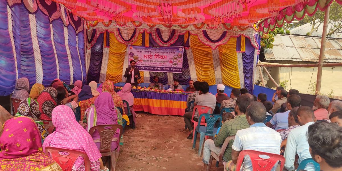 নিরাপদ সবজি  'মাঠ দিবস' অনুষ্ঠিত  পীরগঞ্জে