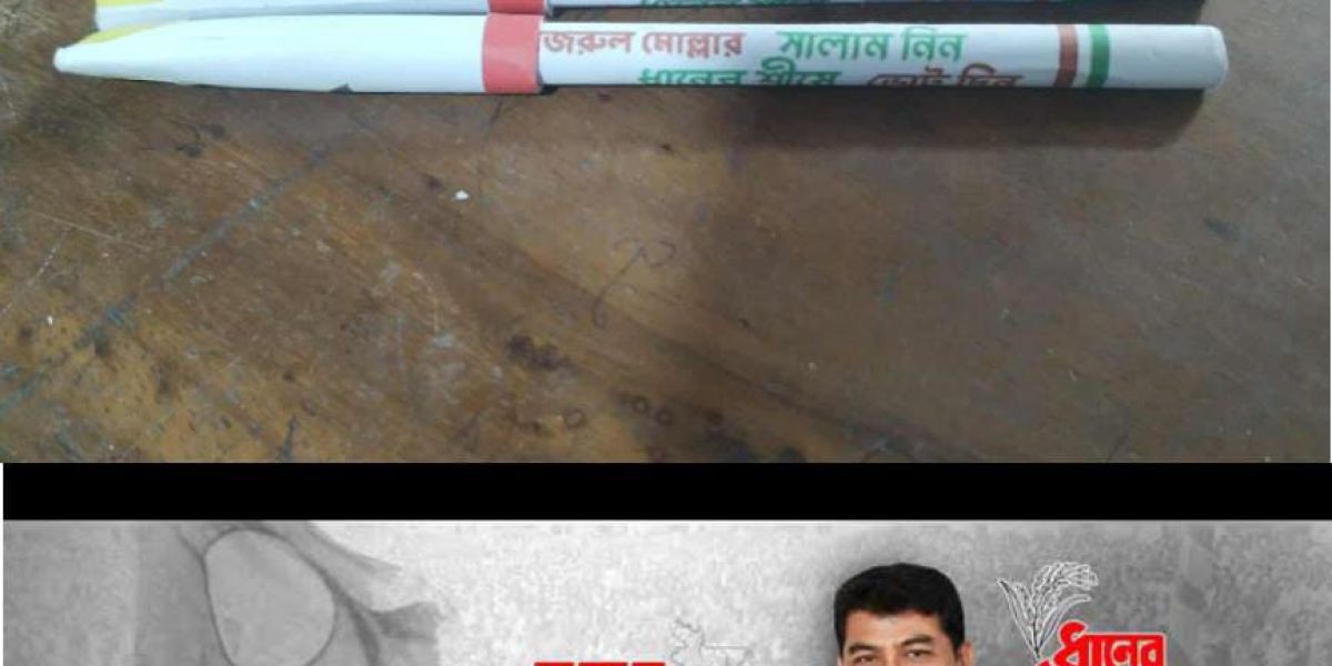 আমতলীতে ধানের শীষের ব্যতিক্রমী 'বীজ-কলম' প্রচারণা: মুগ্ধ সাধারণ ভোটাররা- বরগুনা-১..