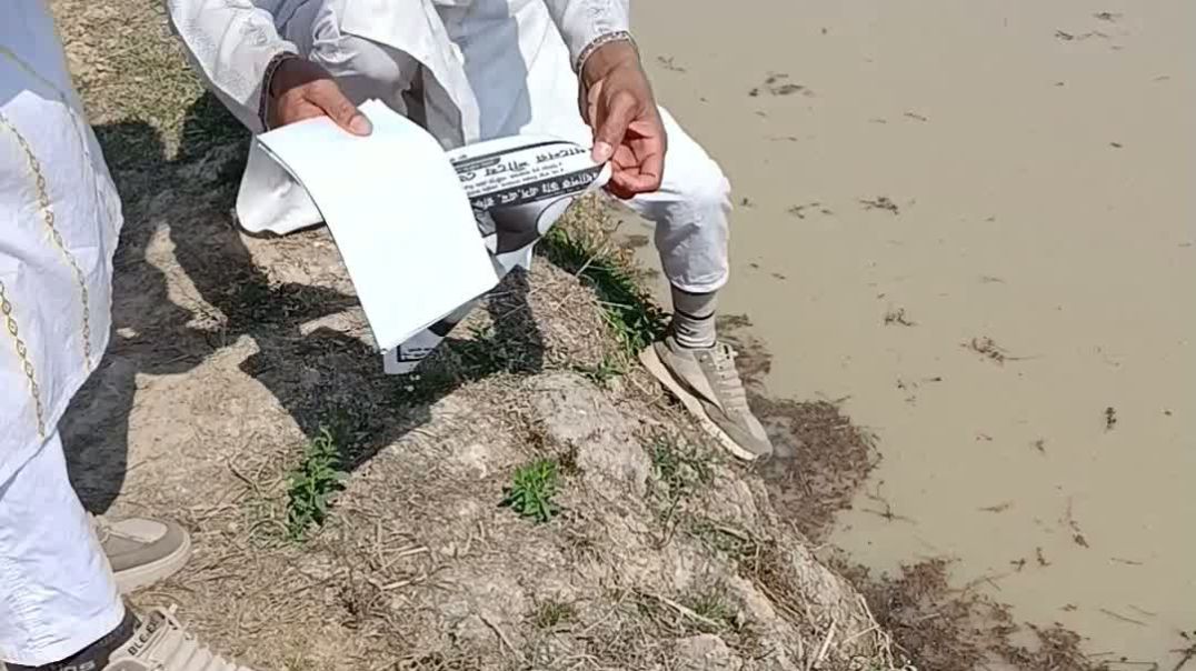 ⁣বি এনপির লিফলেট সংরক্ষণ করলেন বিরোধী দল রিকশার কর্মী