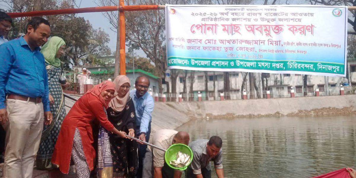 চিরিরবন্দরে পোনা মাছ অবমুক্ত।