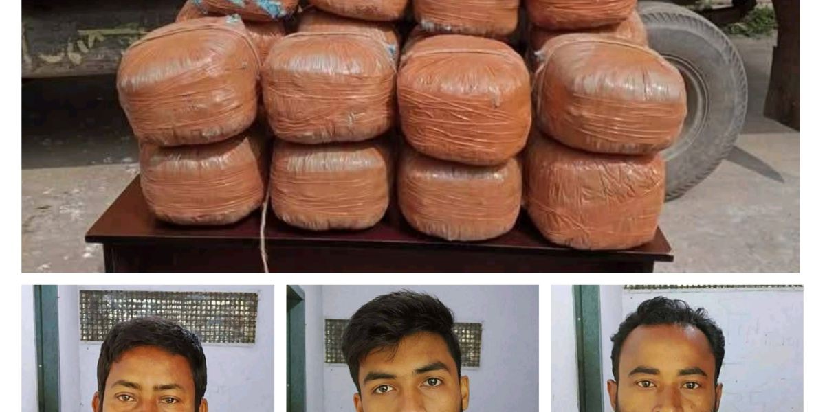 চিরিরবন্দরে ৩ বস্তা পরিত্যক্ত গাঁজা ও ৩ মাদকসেবী আটক।