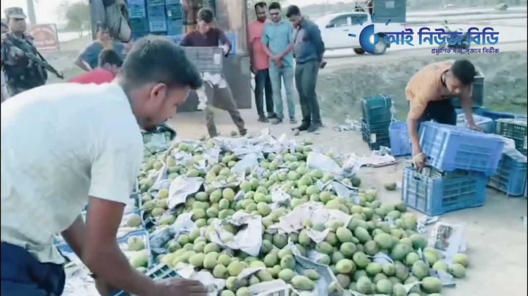⁣কালীগঞ্জে ১৬৮ ক্যারেট বিষাক্ত রাসায়নিক মিশ্রিত অপরিপক্ক আম জব্দ এবং বিনষ্ট