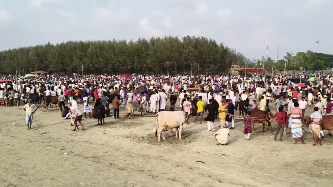 ⁣কুতুবদিয়া সৈকতে জমজমাট কুরবানির পশুর হাট
