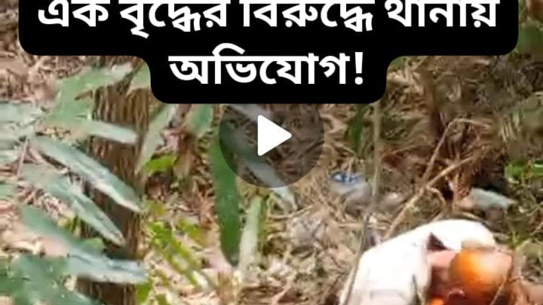 ⁣বরগুনায় গরুর সঙ্গে যৌন নিপীড়নের অভিযোগে এক বৃদ্ধের বিরুদ্ধে থানায় অভিযোগ!