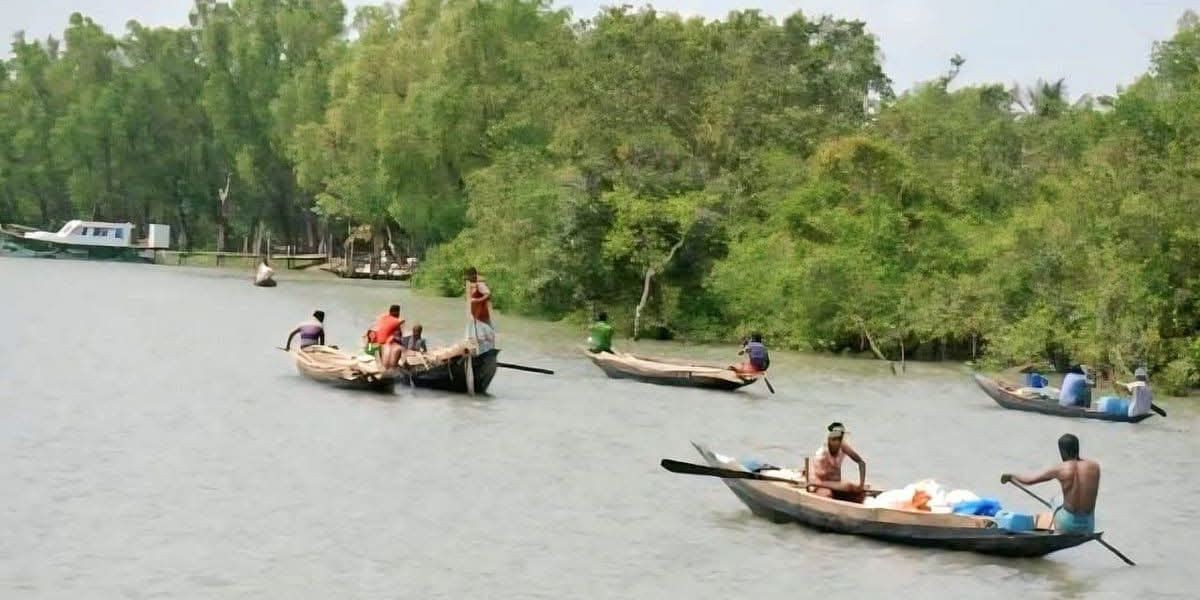 বিষ, প্লাস্টিক ও শিল্পবর্জ্যের আগ্রাসনে অস্তিত্ব সংকটে সুন্দরবন: বিপন্ন জীববৈচিত্র্য..