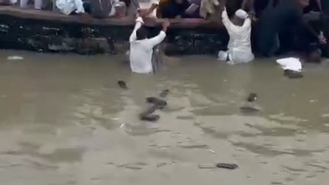 ⁣কুতুবদিয়া দরবার ঘাটে ডেনিস বোটে উঠতে গিয়ে হুড়োহুড়ি, সাগরে পড়ে গেলেন কয়েক যাত্রী