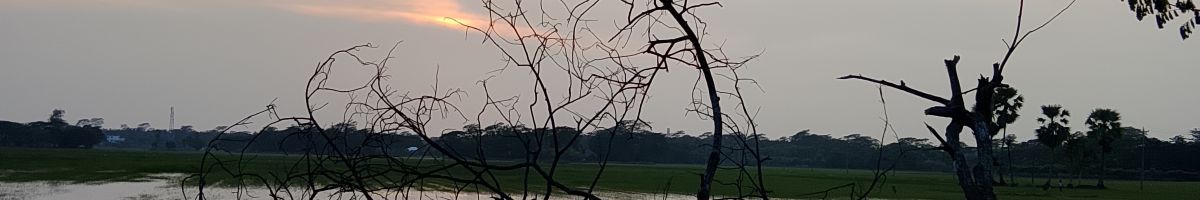 Munna Mia