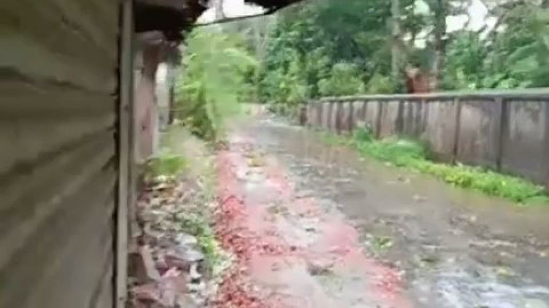 ⁣চাঁদপুরে হঠাৎ করেই শুরু হয়েছে দমকা হাওয়া ও বৃষ্টি।