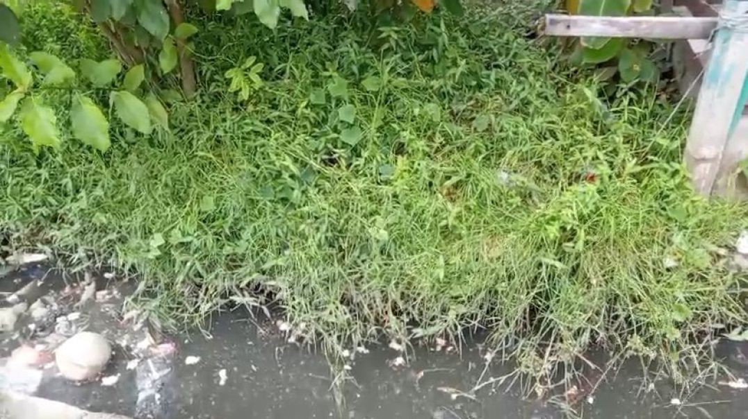 ⁣VID-20260620-WA0005