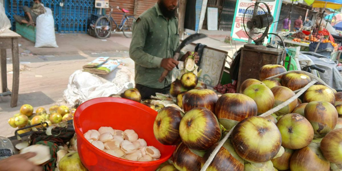 শ্যামনগরে তাপদহে জনজীবন অতিষ্ঠ ,রসাল ফলের চাহিদা বেড়েছে