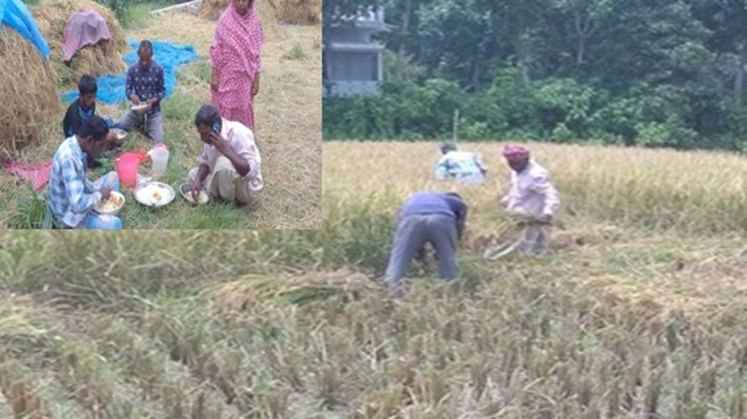 কুড়িগ্রাম থেকে দোহার, ঈদের আগে হোসেনের মুখে হাসির ঝলক