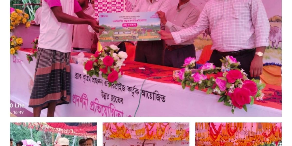 আক্কেলপুর "উন্নত জাতের বাছুর প্রদর্শনী ও পুরস্কার বিতরণী অনুষ্ঠিত: ভালো জাতে ভবিষ্যৎ গড়ার প্রত্যয়..