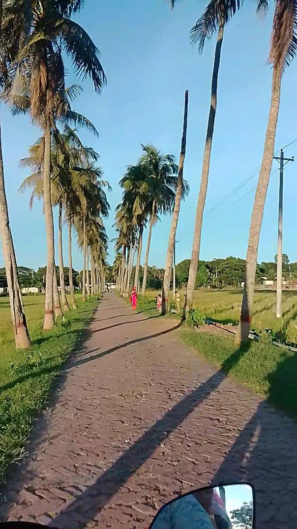 ফরিদপুরের ভাইরাল স্থান তাম্বুলখানা কৃষি ফার্ম