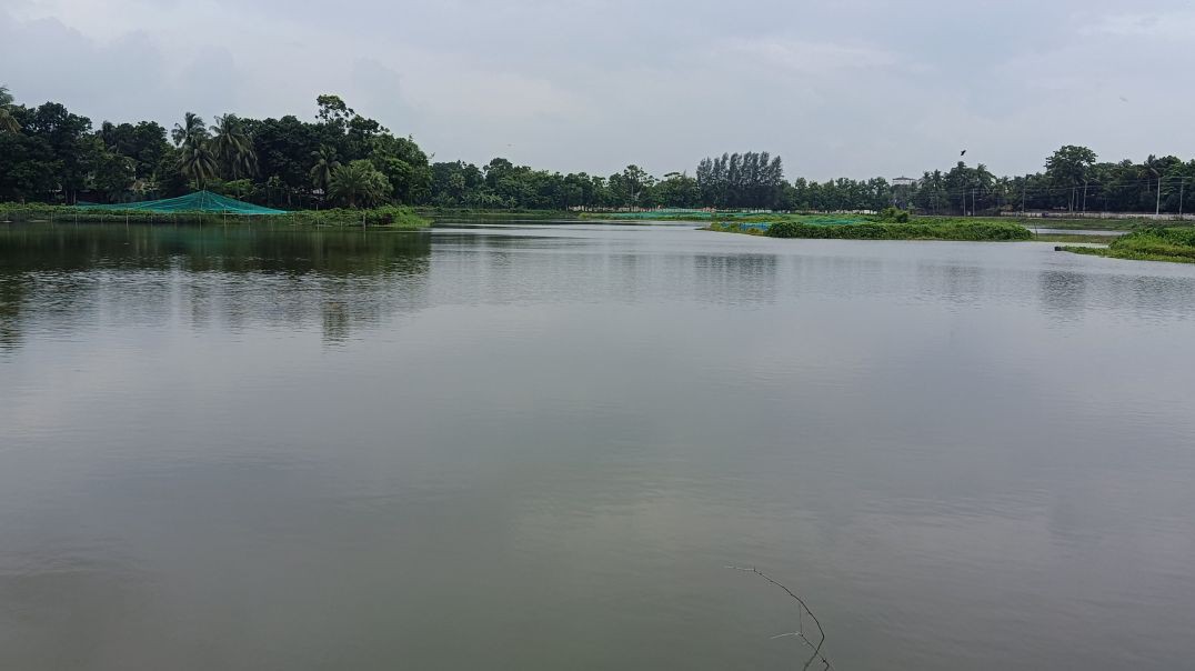 পরিত্যক্ত ঝিলে স্বপ্নের মৎস্য খামার গড়লেন হাজী মাসুদ আকন্দ, কর্মসংস্থান ১৫ শ্রমিকের উপ-শিরোনাম: ডব্