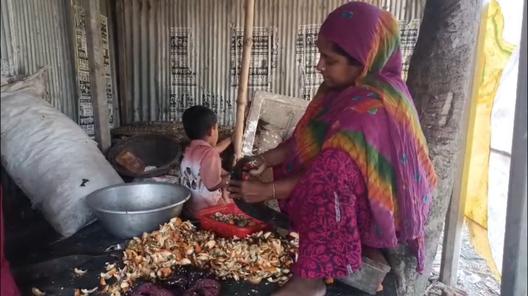 ⁣নাটোরের বড়াইগ্রামে সুপারির খোসা ছাড়িয়ে স্বাবলম্বী শত শত নারী, তবু মিলছে না ন্যায্য মজুরি