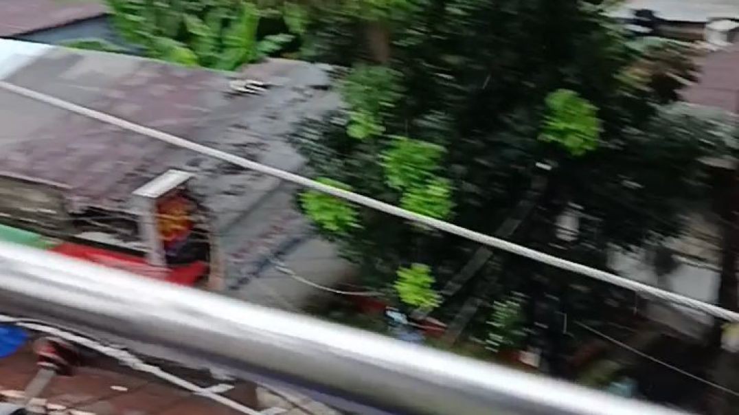 ⁣বৃষ্টি ভেজা চাঁদপুর জেলা
