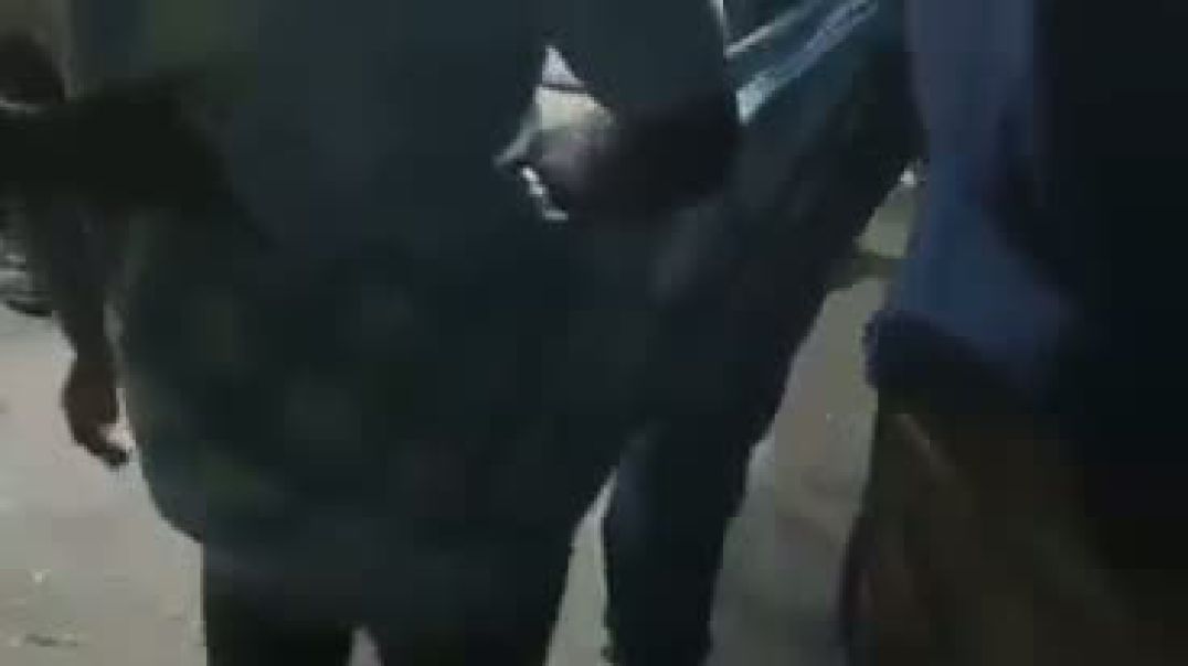 ⁣এলাকায় মাদক কেনাবেচা ও সেবনের অভিযোগ