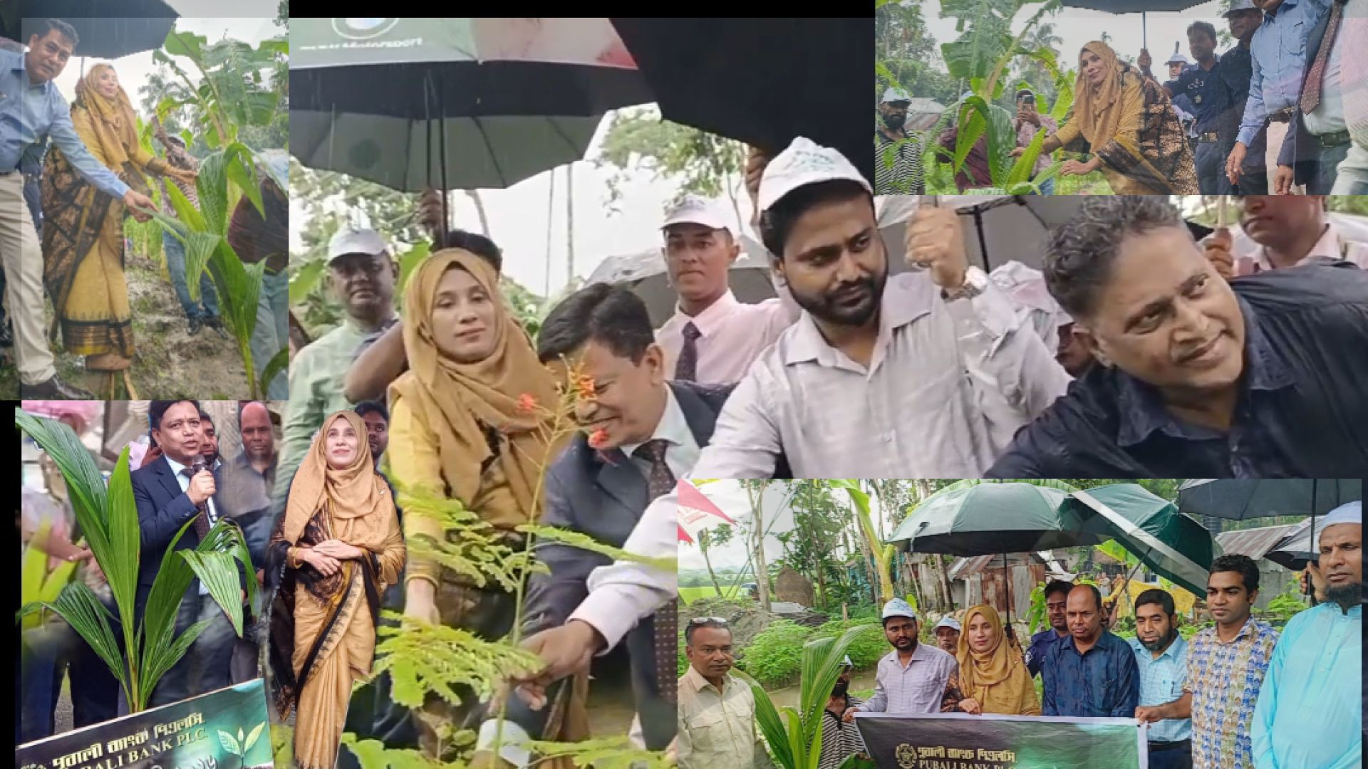 ⁣বরগুনায় পূবালী ব্যাংক পিএলসির উদ্যোগে ১,৪০০টি বিভিন্ন প্রজাতির গাছের চারা রোপণ