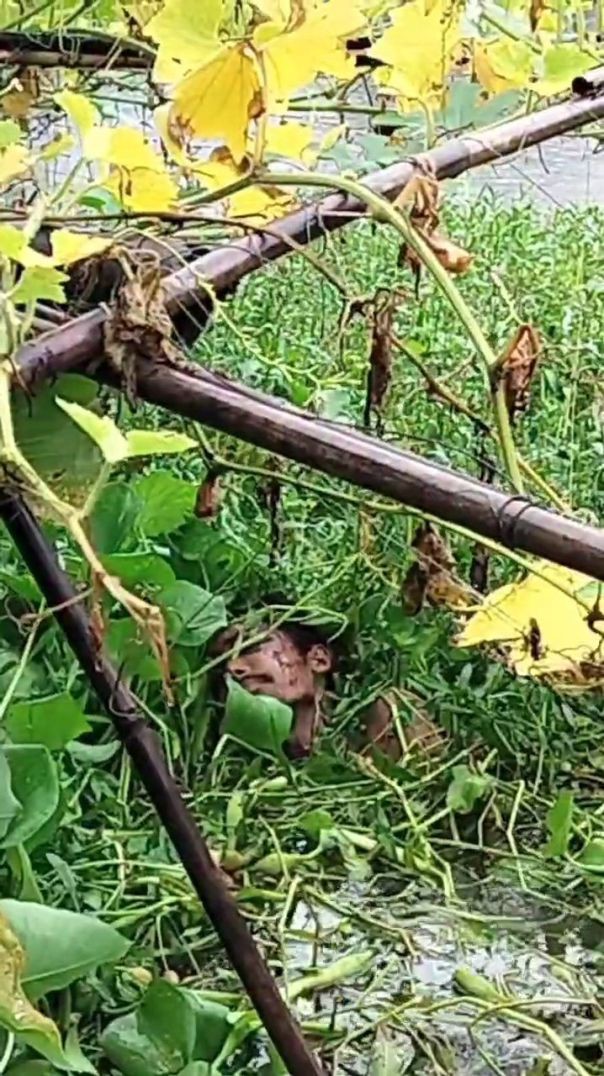 ফেনীর লেমুয়ায় খাদ থেকে অজ্ঞ...
