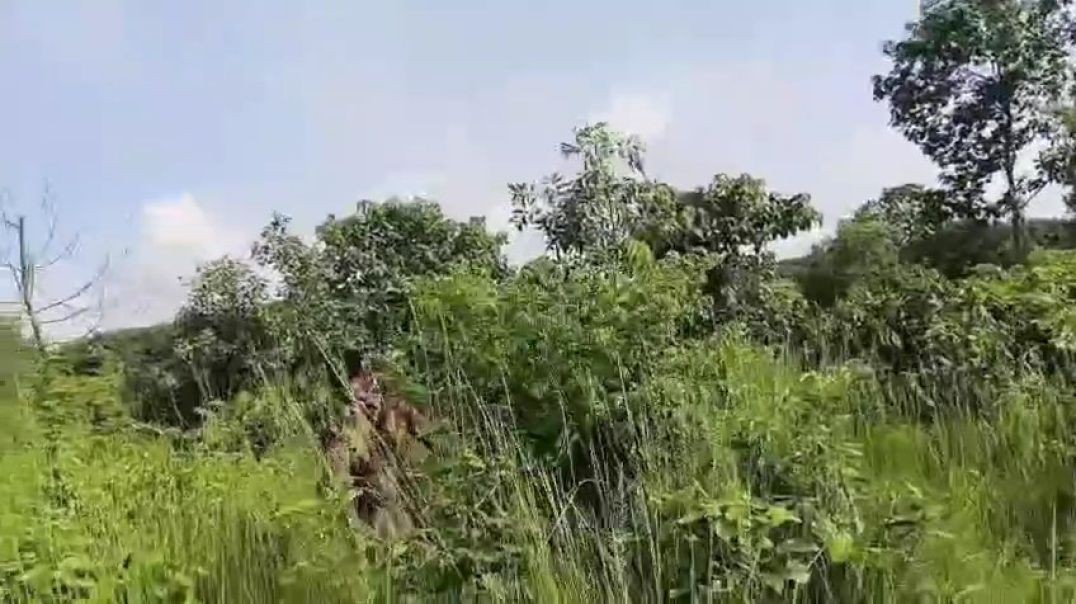 ⁣কুমিল্লায় আড়াই কোটি টাকার ভারতীয় শাড়িসহ ২টি যানবাহন জব্দ করেছে বিজিবি