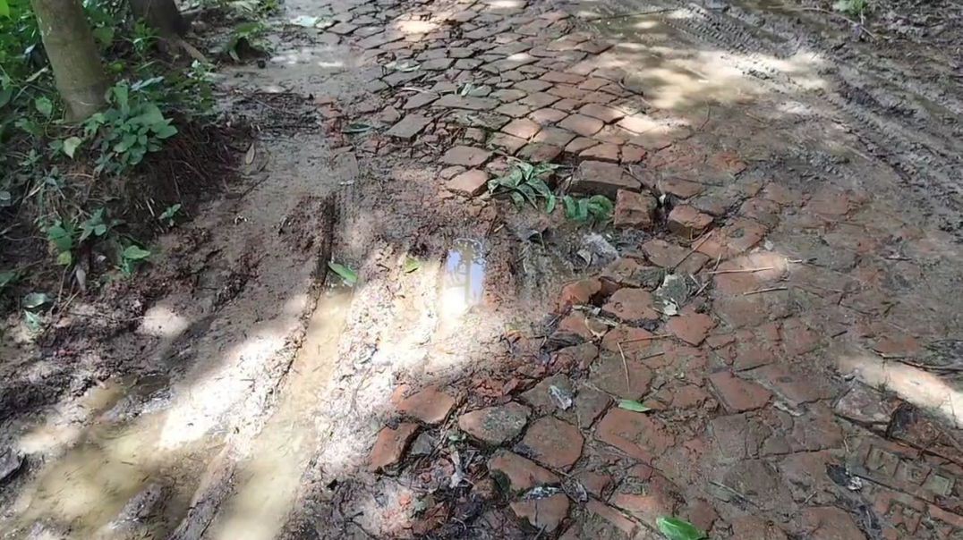 ফেনীর লেমুয়া-নেয়াজপুর সড়কের বেহাল দশা, সামান্য বৃষ্টিতেই জনদুর্ভোগ চরমে