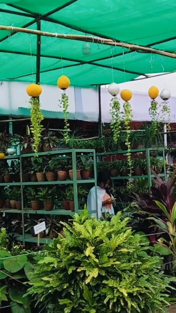 দিনাজপুর গোর-এ-শহীদ বড় মাঠ...