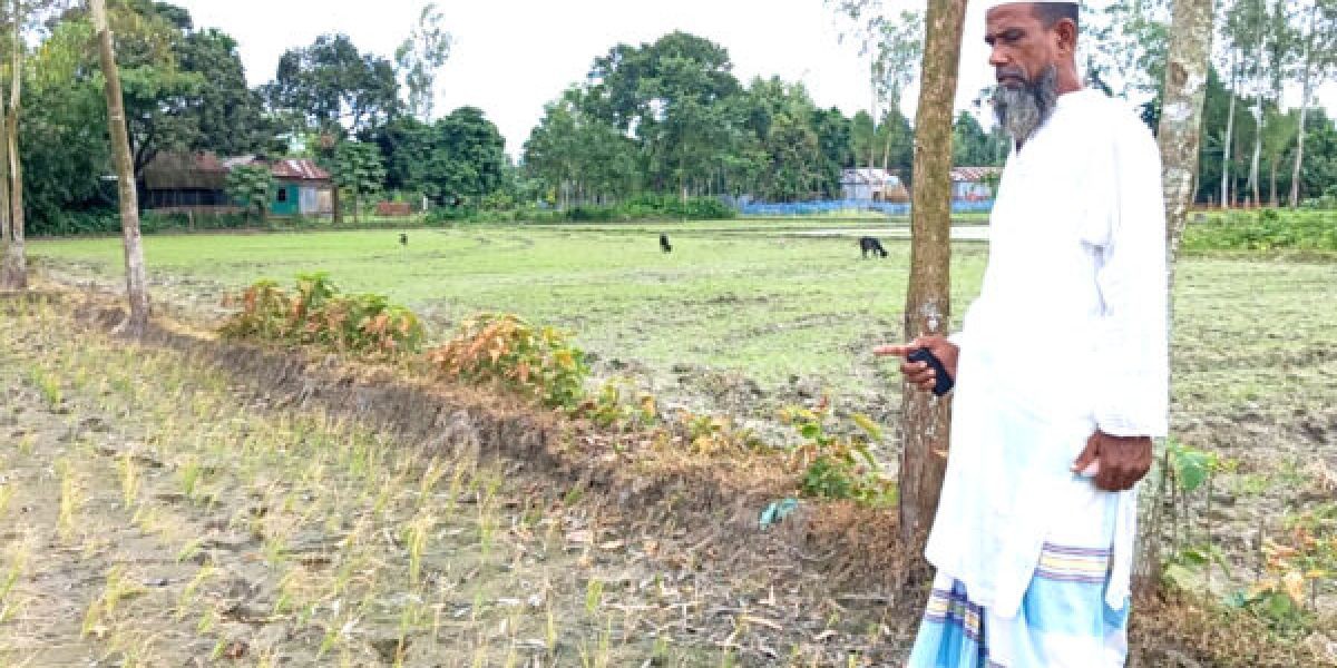 পূর্ব শত্রুতা ও জমি সংক্রান্ত বিরোধের জেরে সৎ ভাই ও প্রতিপক্ষের বিরুদ্ধে আমন ধানের ক্ষেত বিষ ও লবণ প্রয়োগ করে নষ্ট করার অভিযোগ।