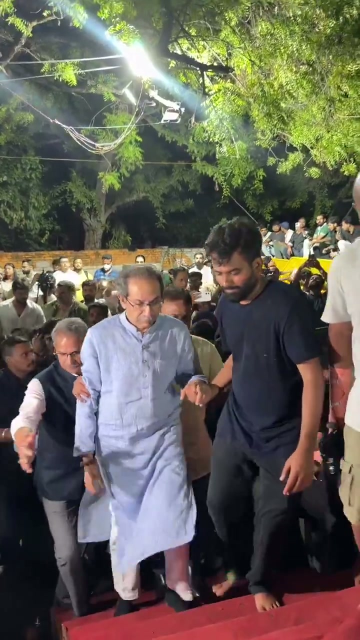 ⁣আর নয়! তেলাপোকার উপদ্রব ফিরল, আতঙ্কিত শহরবাসী