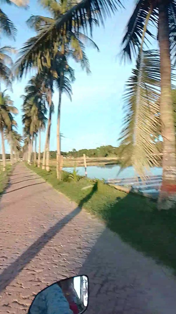 ফরিদপুরের ভাইরাল জায়গা