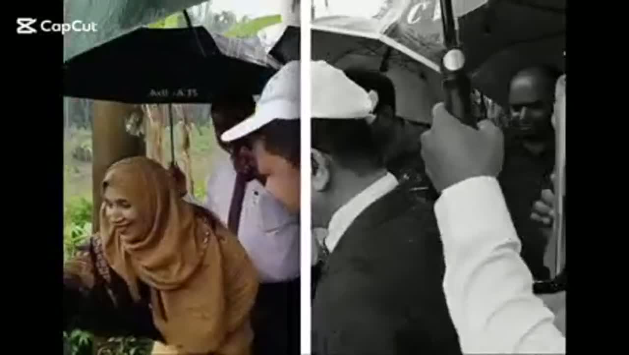 বরগুনায় পূবালী ব্যাংক পিএলসির উদ্যোগে ১,৪০০টি বিভিন্ন প্রজাতির গাছের চারা রোপণ