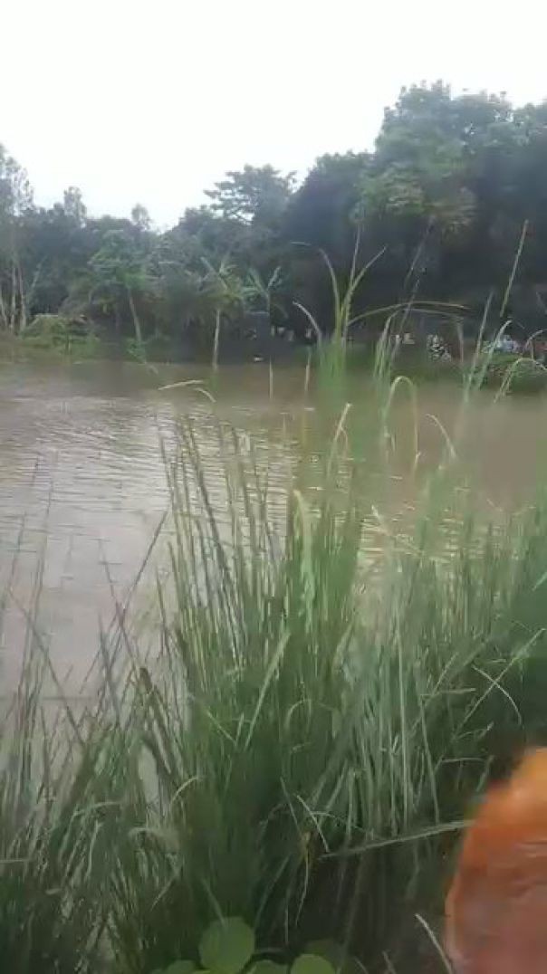 অবশেষে পীরগঞ্জে ইউএনও&#...