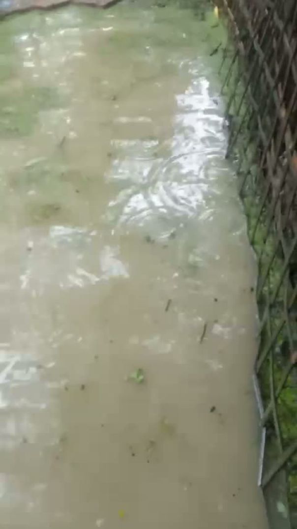 কুতুবদিয়ার গ্রামীণ সড়কের বেহাল দশা